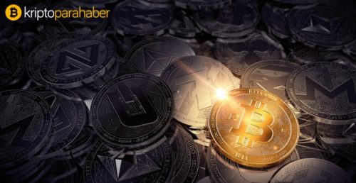 Bitcoin ayılara rağmen sahiplenilmeye devam ediyor